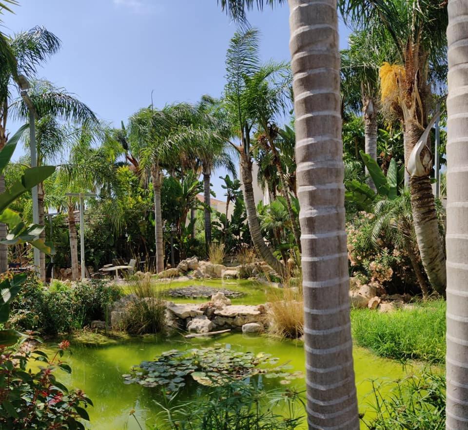 Garden Luxury Apartment Ayía Nápa Extérieur photo
